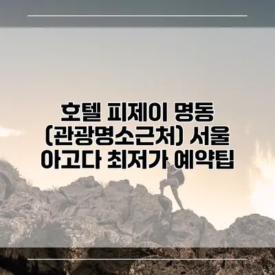 호텔 피제이 명동 (관광명소근처) 서울 아고다 최저가 예약팁