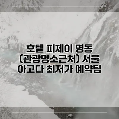 호텔 피제이 명동 (관광명소근처) 서울 아고다 최저가 예약팁