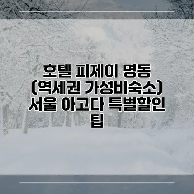 호텔 피제이 명동 (역세권 가성비숙소) 서울 아고다 특별할인 팁